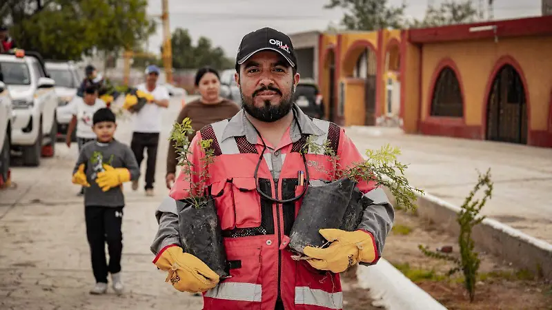 Reforestación en Mazapil apuesta por la biodiversidad.